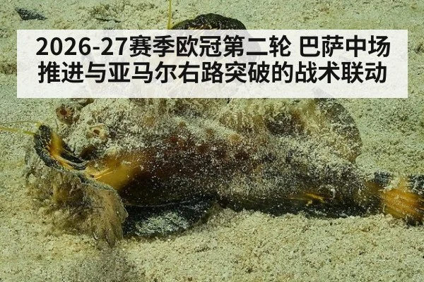 2026-27赛季欧冠第二轮 巴萨中场推进与亚马尔右路突破的战术联动
