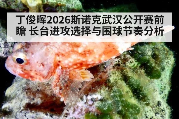 丁俊晖2026斯诺克武汉公开赛前瞻 长台进攻选择与围球节奏分析